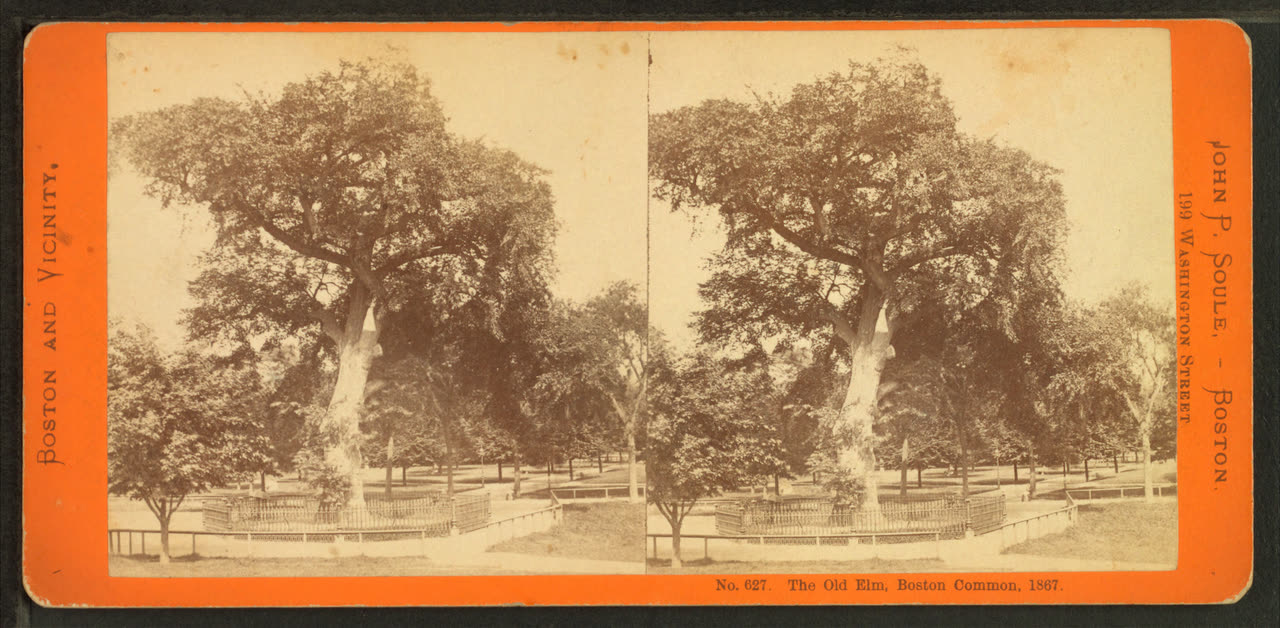 The Old Elm on the Common, 1876